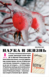 «Наука и жизнь» 2016_01 (pdf)