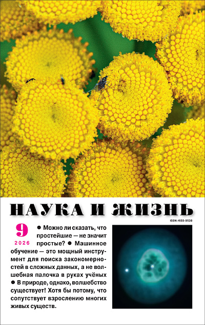 №9,2026