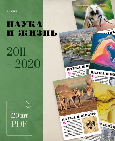 Комплект журналов в PDF за 2011-2020 годы