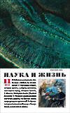  «Наука и жизнь» 2014_11 (pdf)