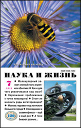 КРОССВОРД С ФРАГМЕНТАМИ. ИЮЛЬ 2010 №7