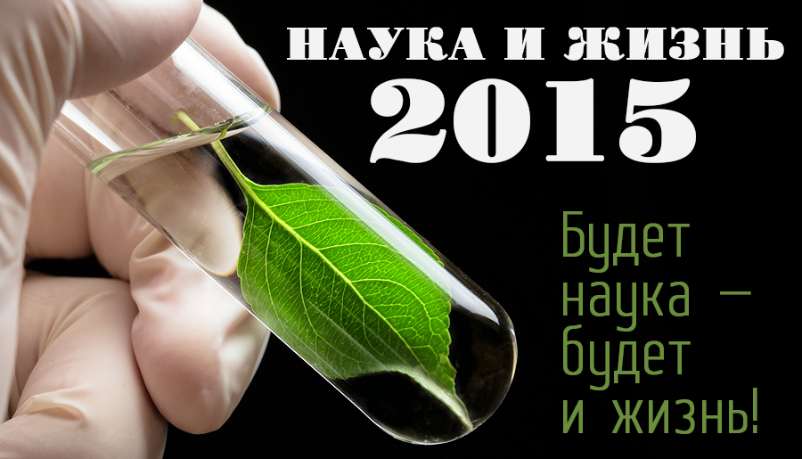 Наука и жизнь 3 2024. Наука и жизнь. Наука и жизнь №9 2015. Наука и жизнь №10, октябрь 2015. Современные картинки журнал наука и жизнь.