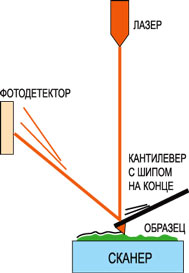 АТОМНО-СИЛОВАЯ МИКРОСКОПИЯ