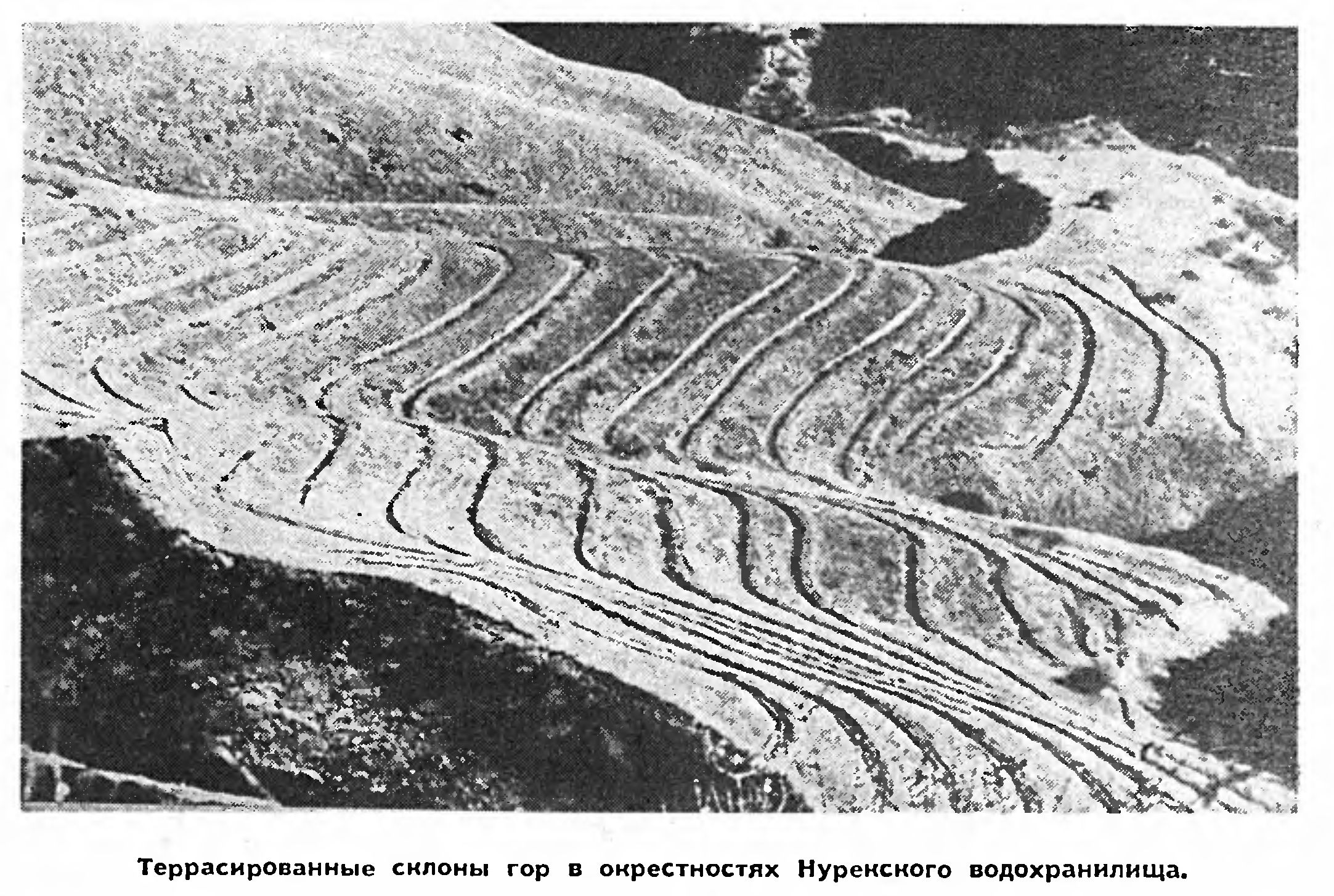 МЕЖДУ СЦИЛЛОЙ И ХАРИБДОЙ