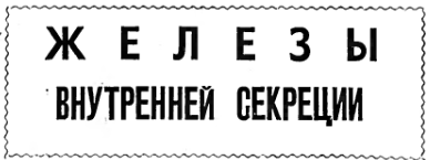 ЖЕЛЕЗЫ ВНУТРЕННЕЙ СЕКРЕЦИИ