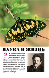 Коллекция куриозов книжных. Сентябрь 2021 №9