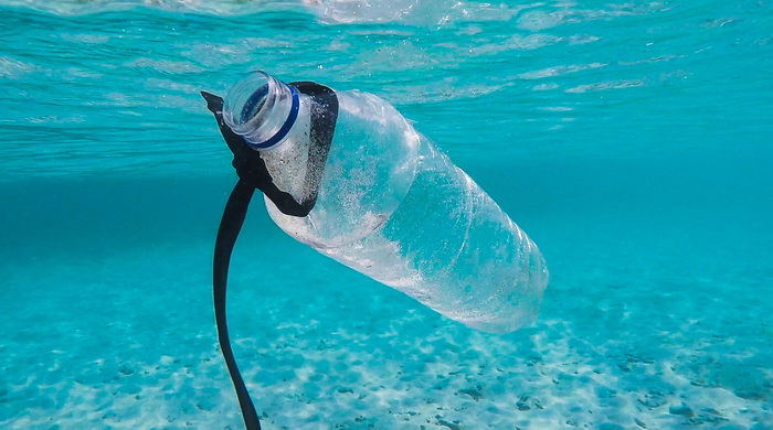 Морских бактерий учат есть пластик