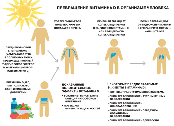 «Солнечный» витамин