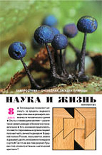 Обложка журнала «Наука и жизнь» №8 за 2005 г.
