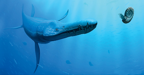 Находки зубов морских динозавров изменили представления об эволюции рептилий