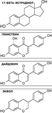 ПРАВДА И ВЫМЫСЕЛ О ФИТОЭСТРОГЕНАХ