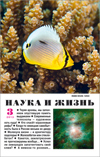  «Наука и жизнь» 2013_03 (pdf)