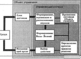 МОДЕЛИРОВАНИЕ ВЫСШЕЙ НЕРВНОЙ ДЕЯТЕЛЬНОСТИ