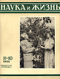 Обложка журнала «Наука и жизнь» №10 за 1955 г.