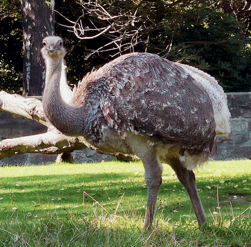 Жизнь с начала времён