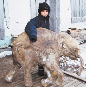 ЯМАЛЬСКИЙ МАМОНТЁНОК РАССКАЖЕТ О ДРЕВНИХ ЛАНДШАФТАХ 