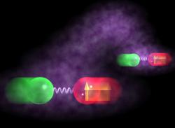 «Альберт, ты не прав»