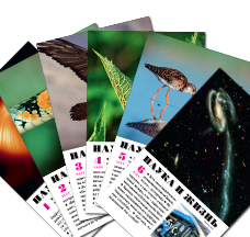 Комплект журналов «Наука и жизнь» №№ 1-6, 2025 