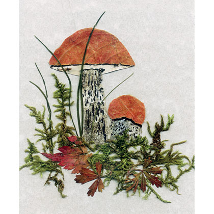 «Собираем» грибы