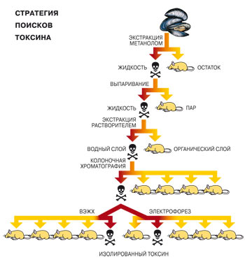 НАЙТИ ИГОЛКУ В СТОГЕ СЕНА