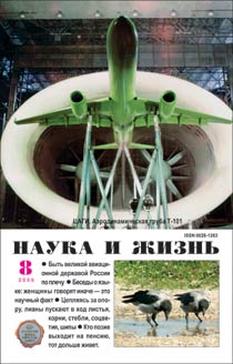 Обложка журнала «Наука и жизнь» №8 за 2006 г.