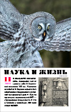 «Наука и жизнь» 2025_11(pdf)