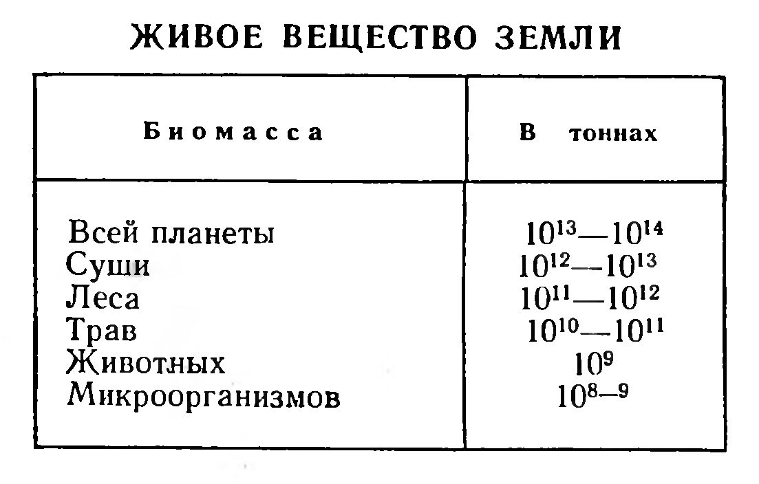ПОЧВА