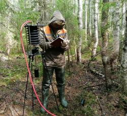 Изотопы в болотах