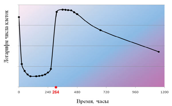  График 1. Логарифмическая кривая роста микроорганизмов.