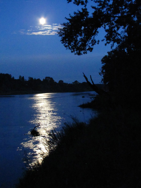 Странно получается: луна круглая, а вот ее отражение в реке - дорожка. Мистика!