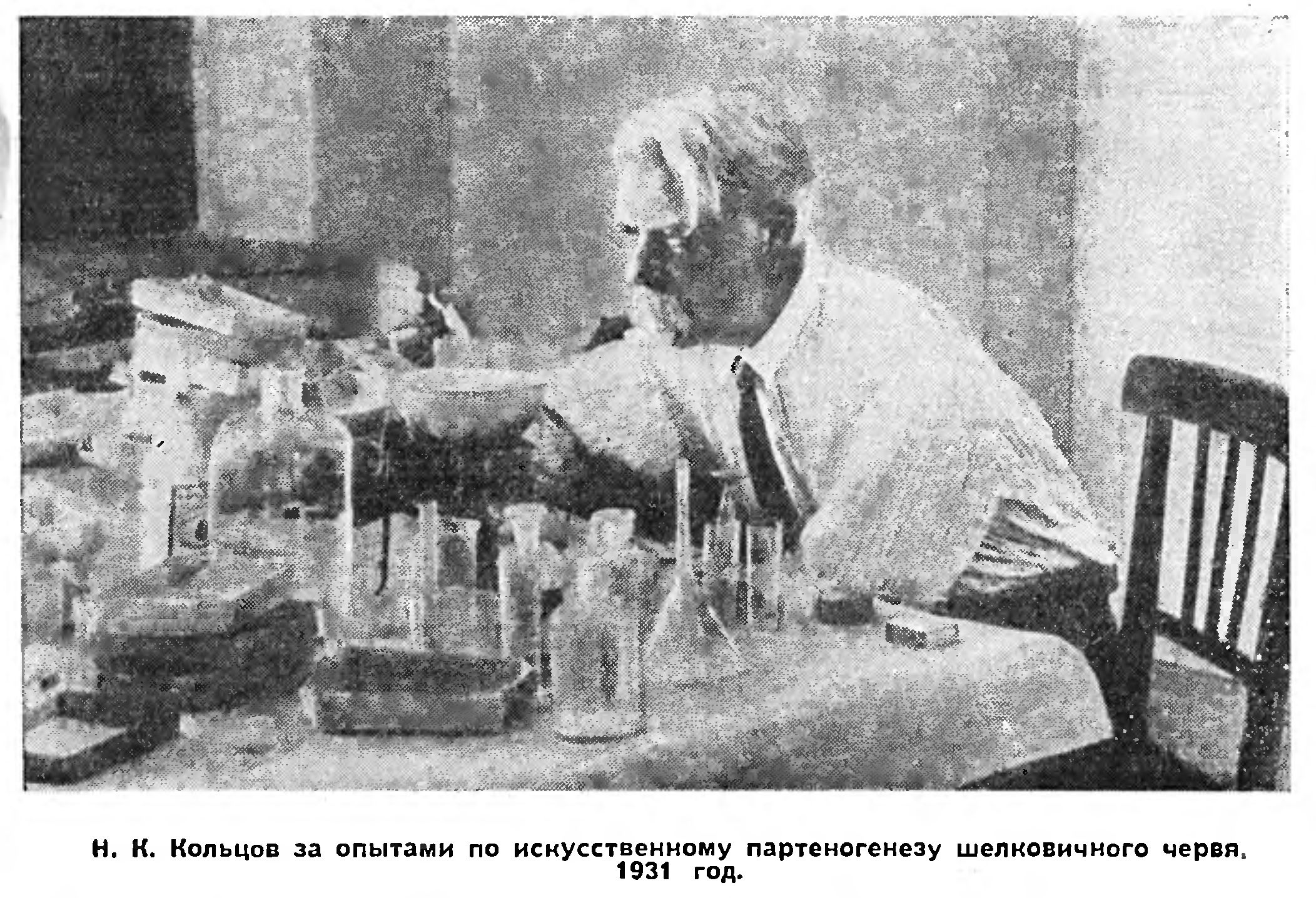 ЗАГАДКА ТРЕНИЯ КАЧЕНИЯ