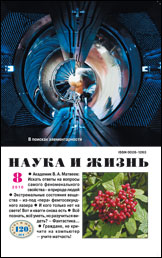 Обложка журнала «Наука и жизнь» №8 за 2010 г.