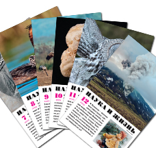 Комплект журналов «Наука и жизнь» №№ 7-12, 2025