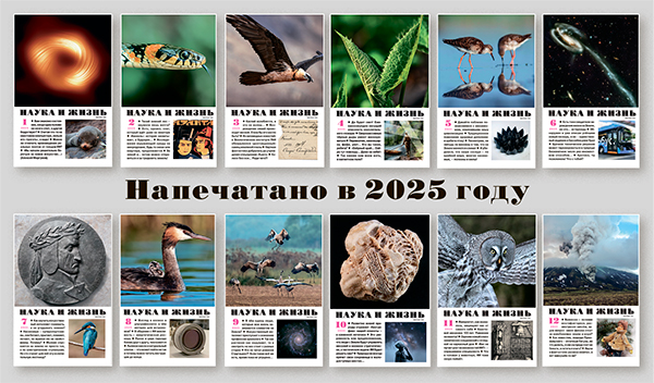 Напечатано в 2025 году