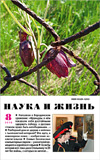  «Наука и жизнь» 2012_08 (pdf)