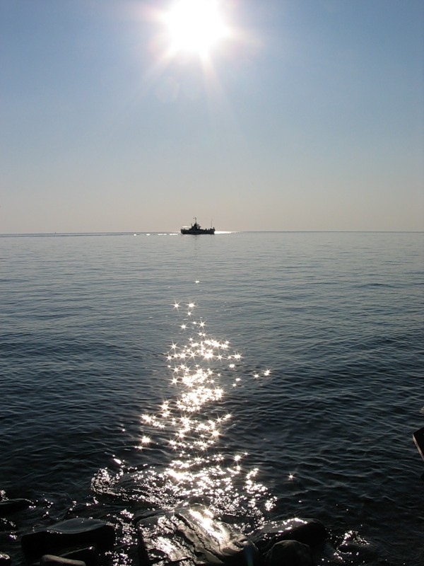 Игра солнечных зайчиков на волнах Чёрного моря.