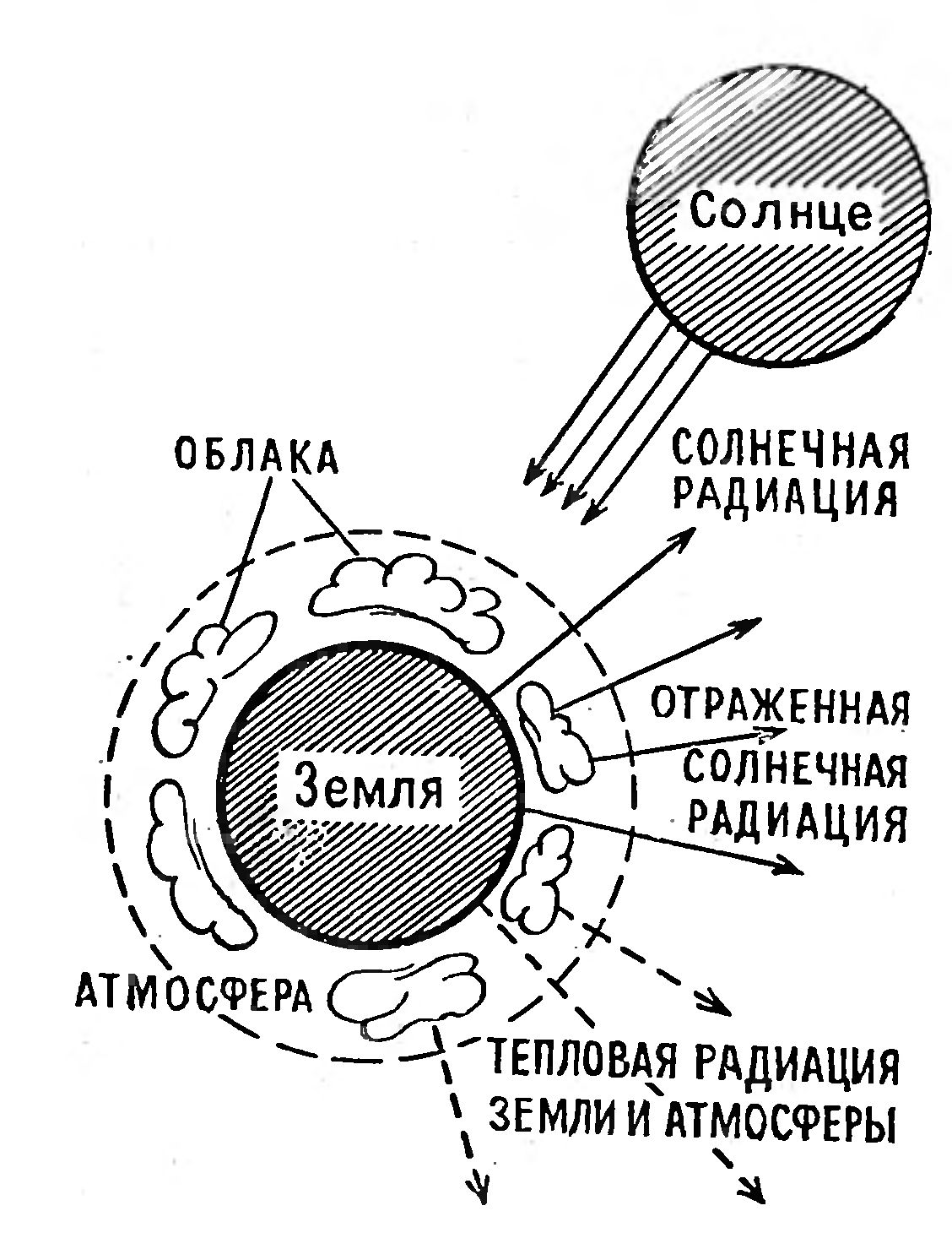 СОЛНЦЕ, РАСТЕНИЕ И МАТЕМАТИКА