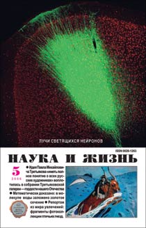 Обложка журнала «Наука и жизнь» №5 за 2006 г.