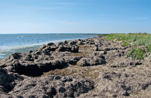 Азовское море —  генератор топлива