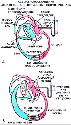 НИТРОГЛИЦЕРИН, НОБЕЛЬ И НОБЕЛЕВСКИЕ ЛАУРЕАТЫ