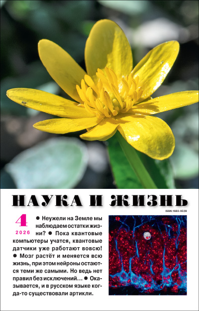 «Наука и жизнь» 2026_04(pdf)