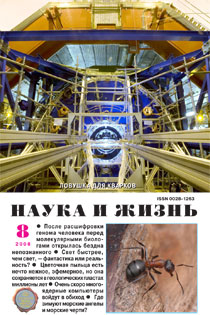 КРОССВОРД С ФРАГМЕНТАМИ. АВГУСТ 2008 №8 (PDF-файл)