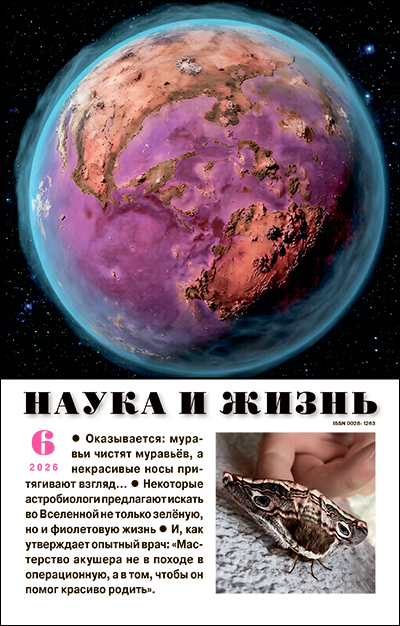 Обложка журнала «Наука и жизнь» №06 за 2026 г.