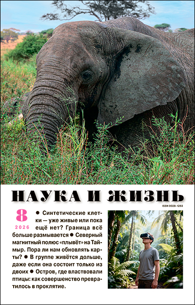 Обложка журнала «Наука и жизнь» №08 за 2026 г.
