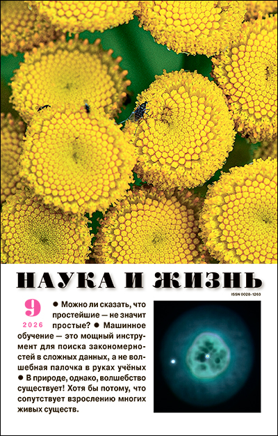 Обложка журнала «Наука и жизнь» №09 за 2026 г.