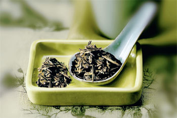 Полезен ли зелёный чай?