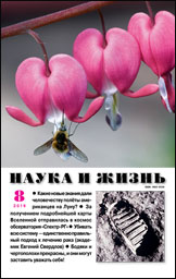 Обложка журнала «Наука и жизнь» №08 за 2019 г.