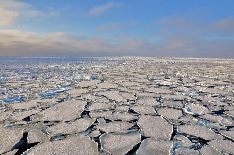 Паковый лед в Гренландском море. 2010 год.