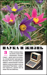 Обложка журнала «Наука и жизнь» №03 за 2023 г.