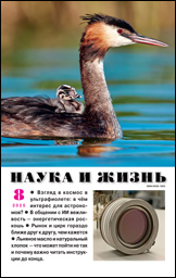 Обложка журнала «Наука и жизнь» №08 за 2025 г.